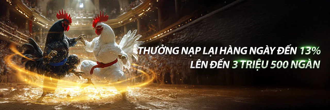 Trải nghiệm sòng bạc trực tuyến đỉnh cao tại banca28 hiện đang mở